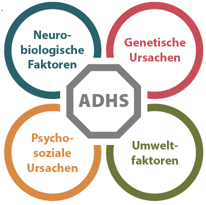 ADHS ADS Ursache