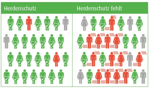 Herdenschutz nach Impfung gegen Windpocken Gürtelrose