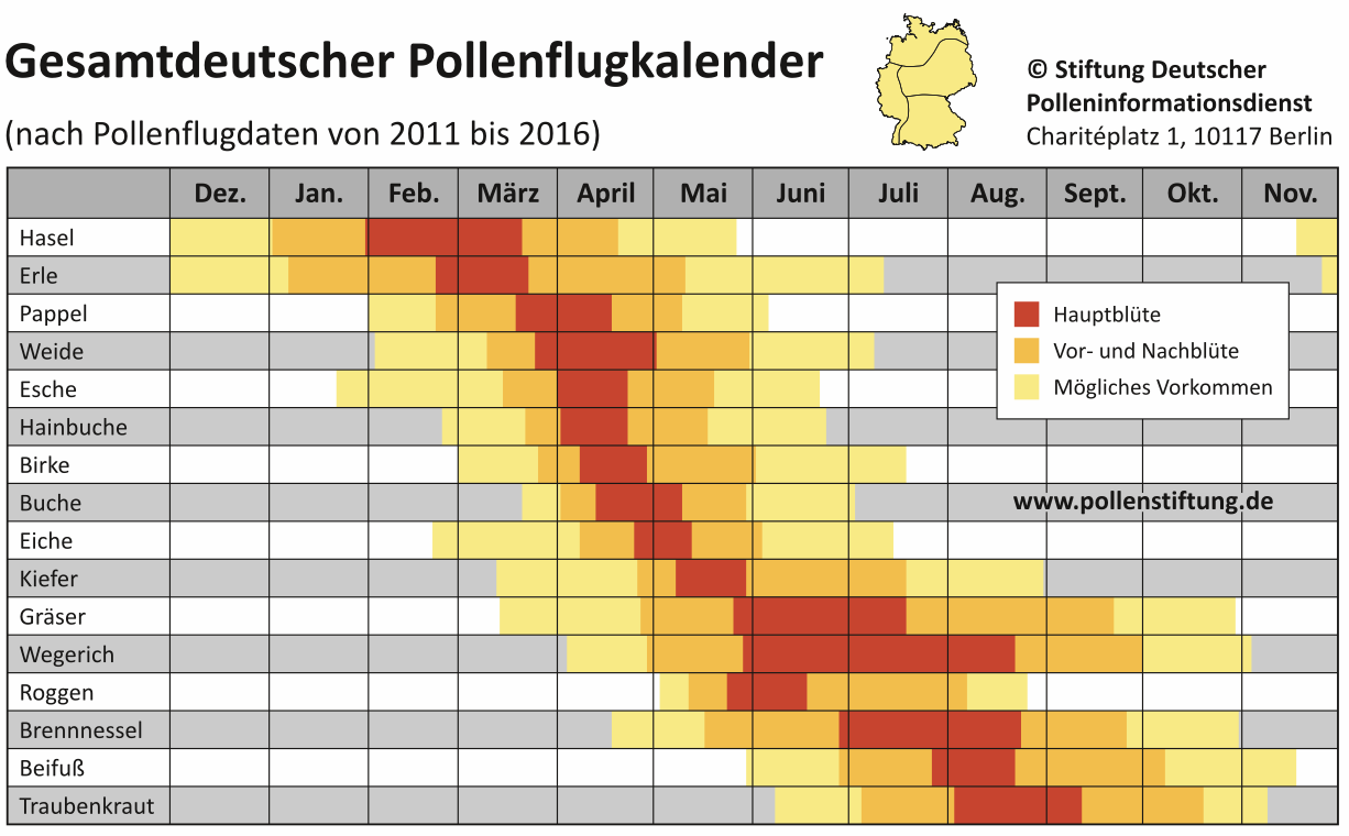 Rhinitis Pollenflugkalender Deutschland