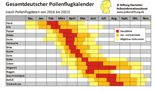 Rhinitis Pollenflugkalender Deutschland